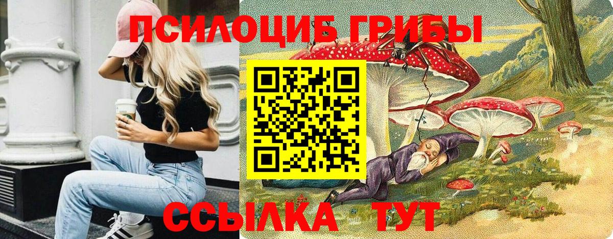 Псилоцибиновые грибы мицелий Нефтеюганск